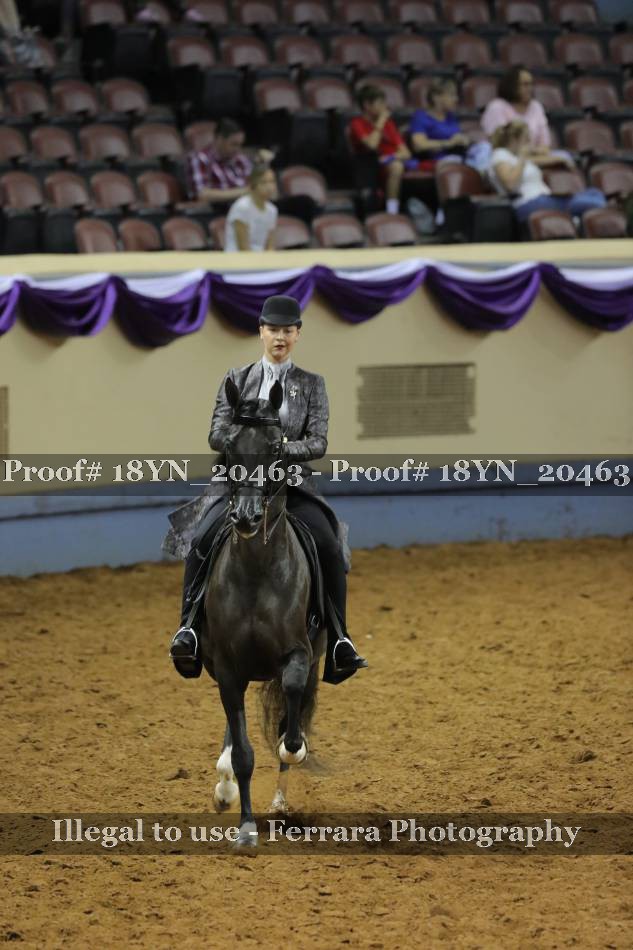 Proof 18YN_20463