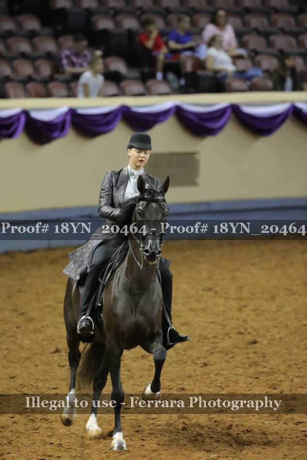 Proof 18YN_20464