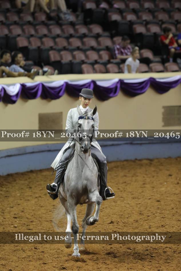 Proof 18YN_20465