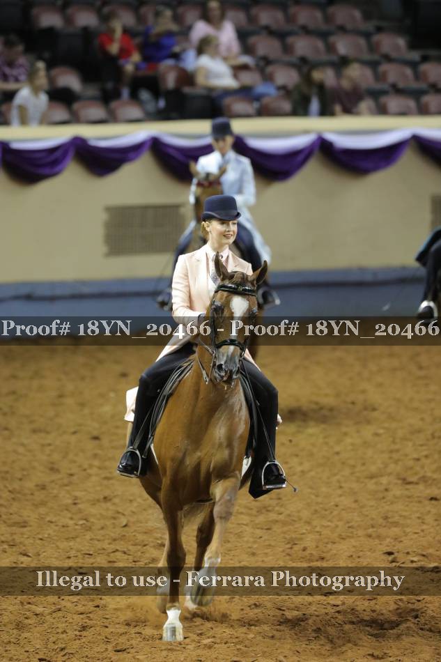 Proof 18YN_20466