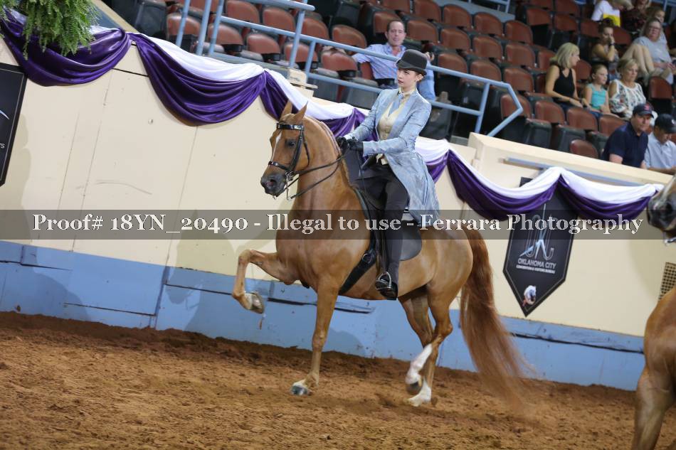 Proof 18YN_20490