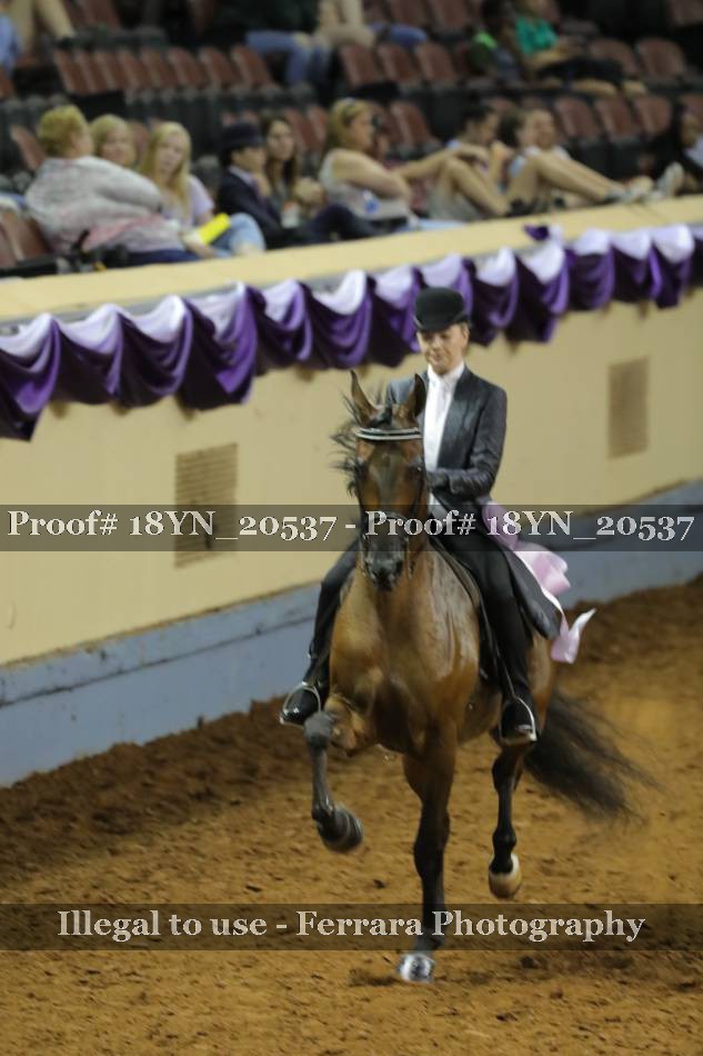 Proof 18YN_20537