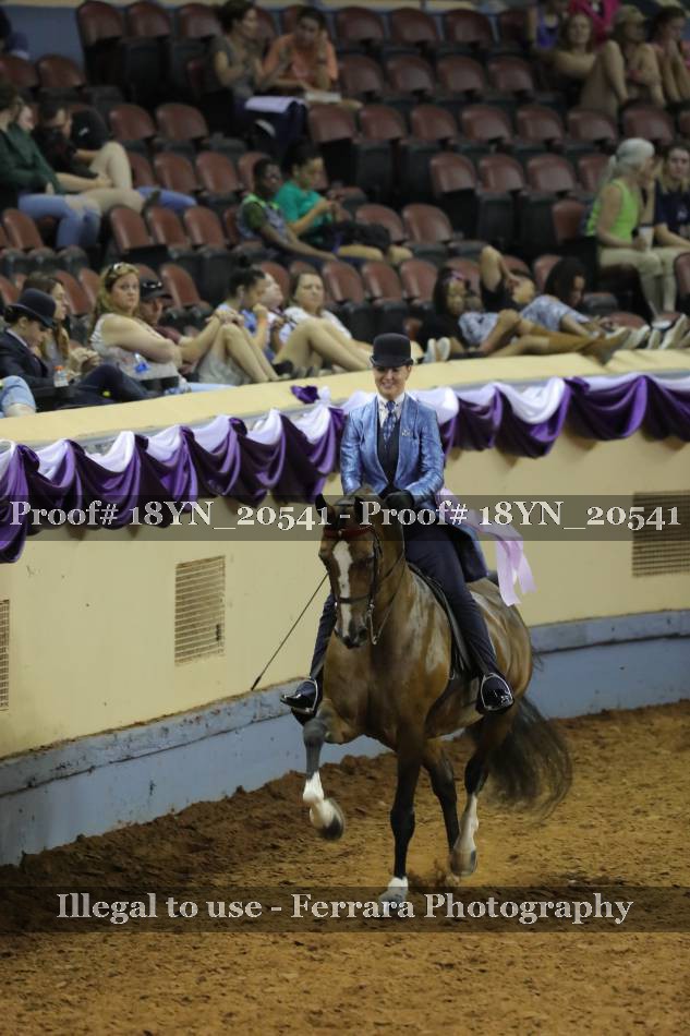 Proof 18YN_20541