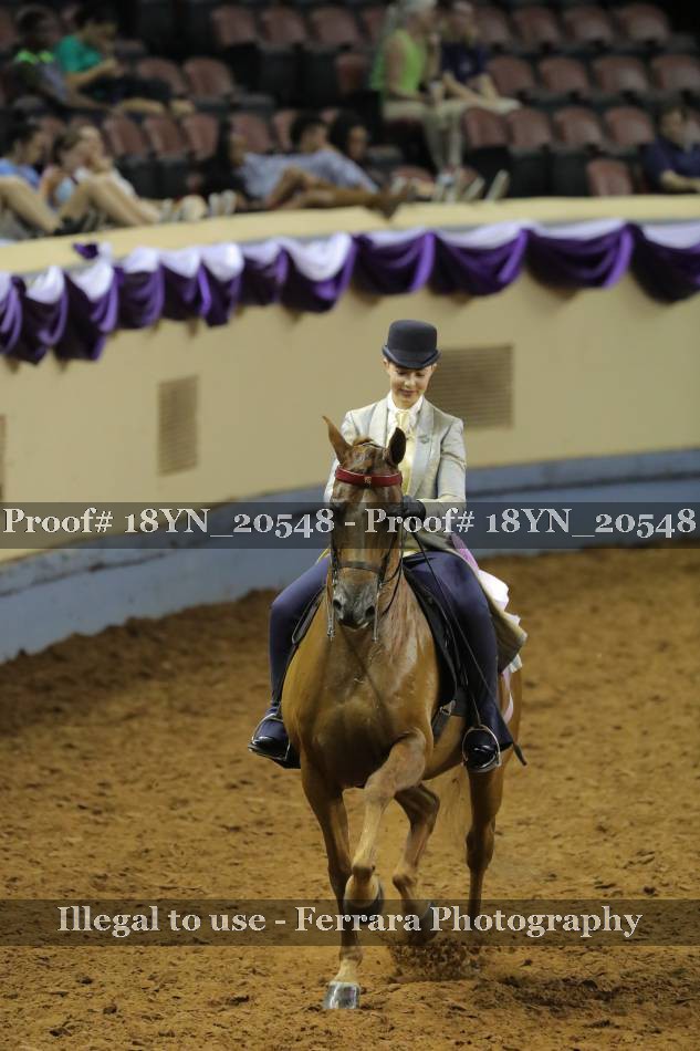 Proof 18YN_20548