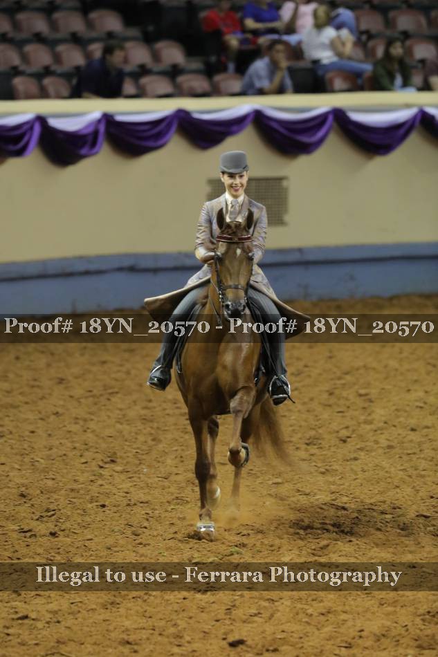 Proof 18YN_20570