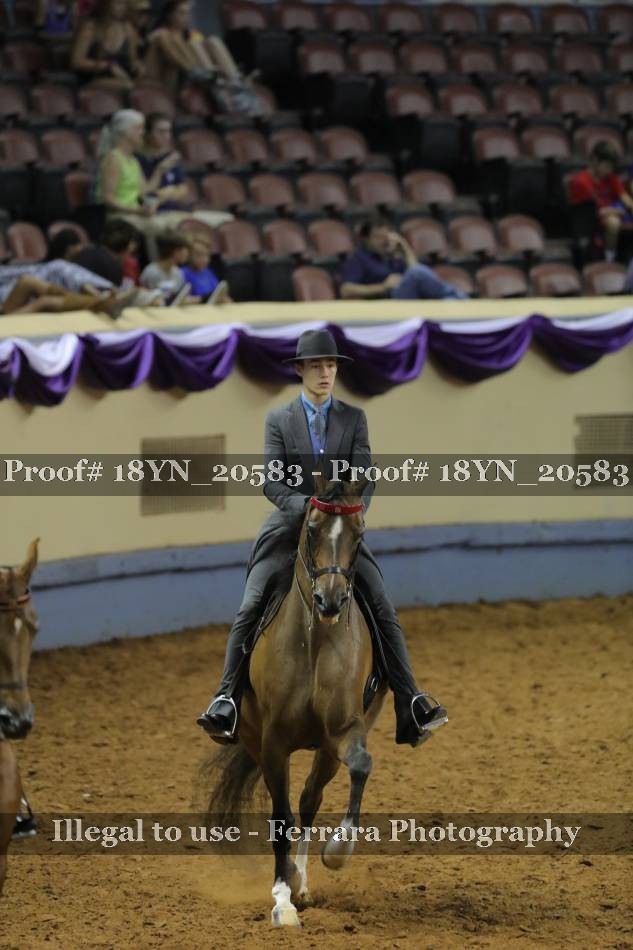 Proof 18YN_20583