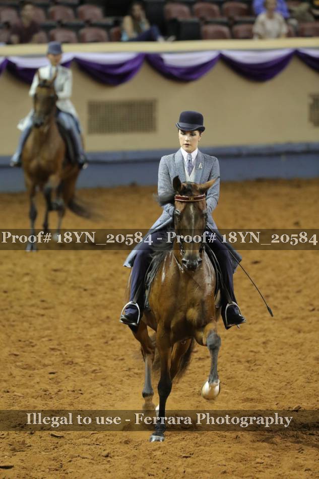 Proof 18YN_20584