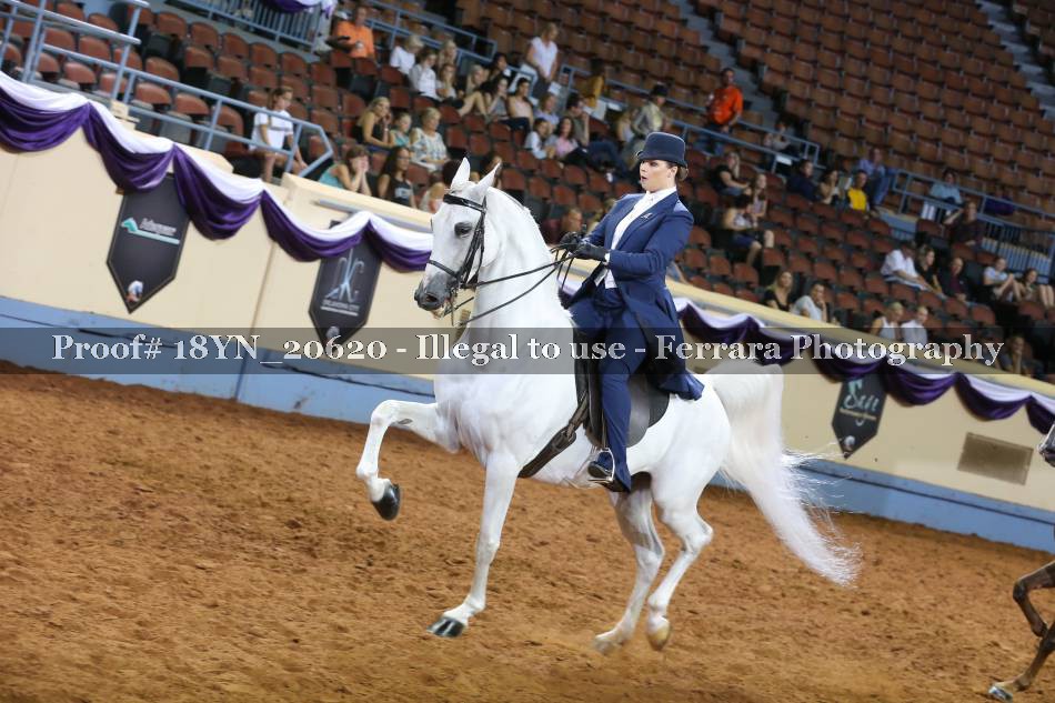 Proof 18YN_20620