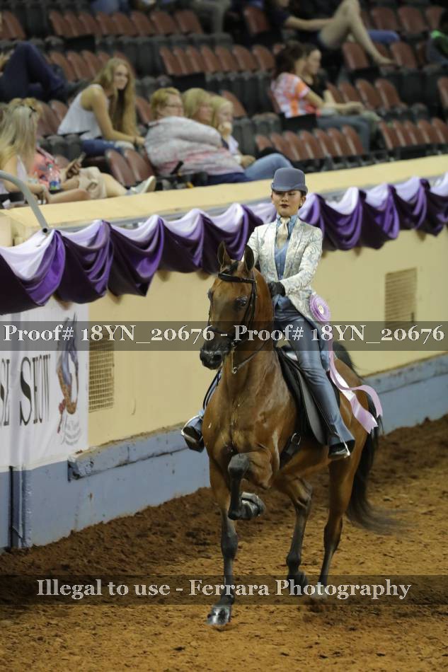 Proof 18YN_20676