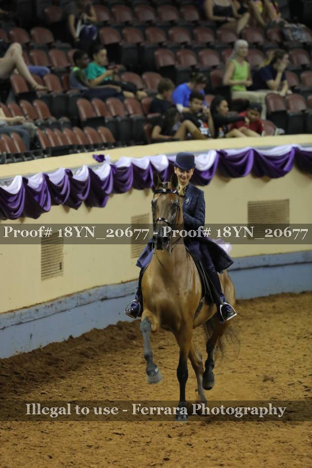 Proof 18YN_20677