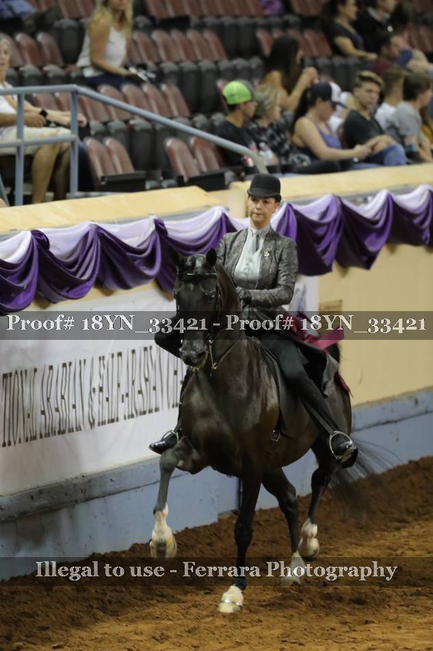 Proof 18YN_33421