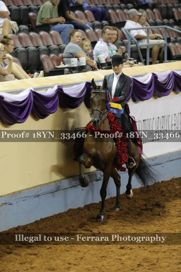 Proof 18YN_33466