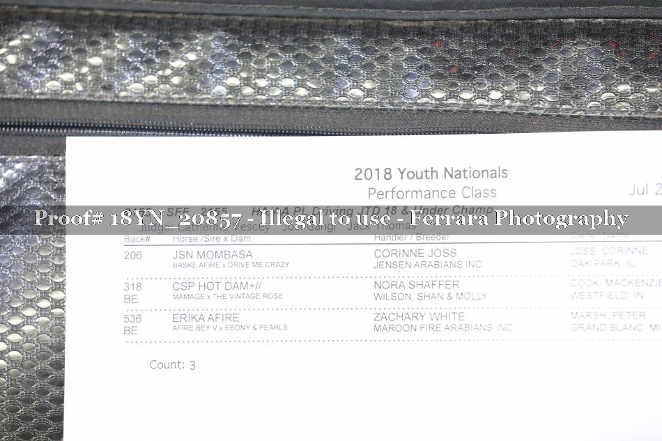 Proof 18YN_20857