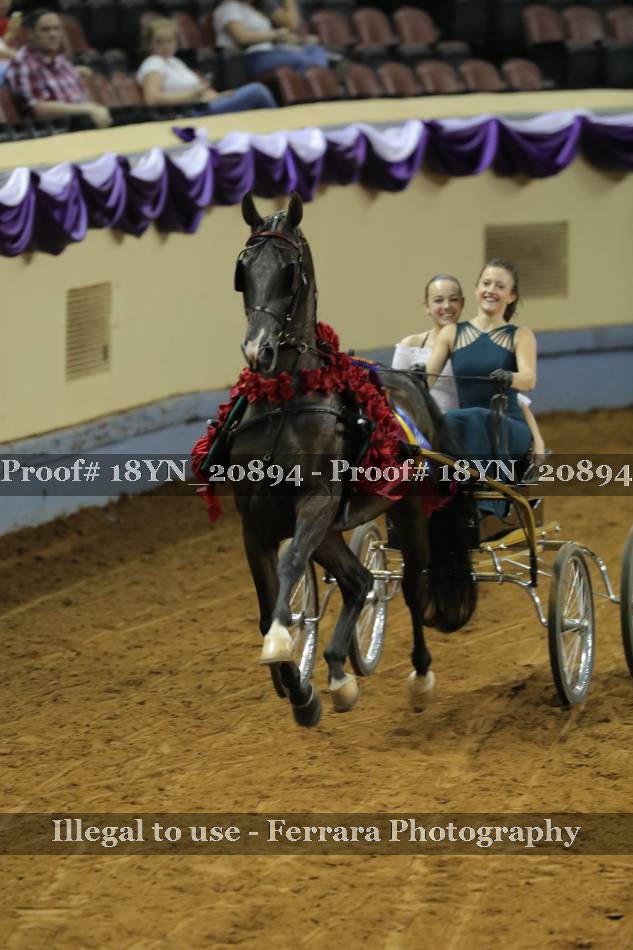 Proof 18YN_20894