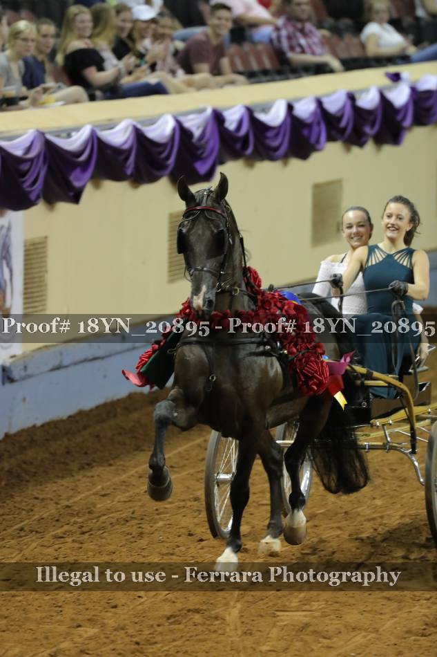 Proof 18YN_20895