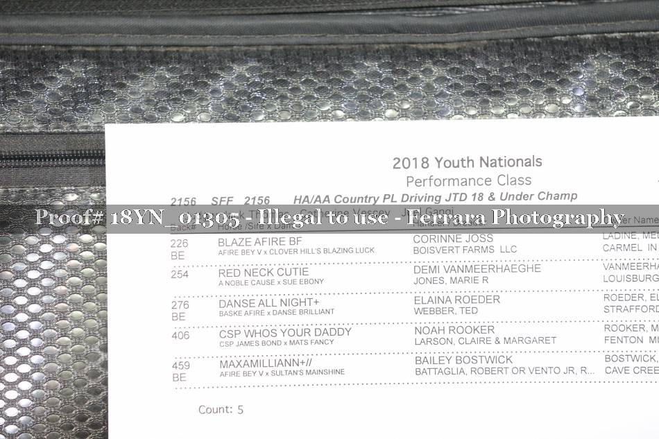 Proof 18YN_01305