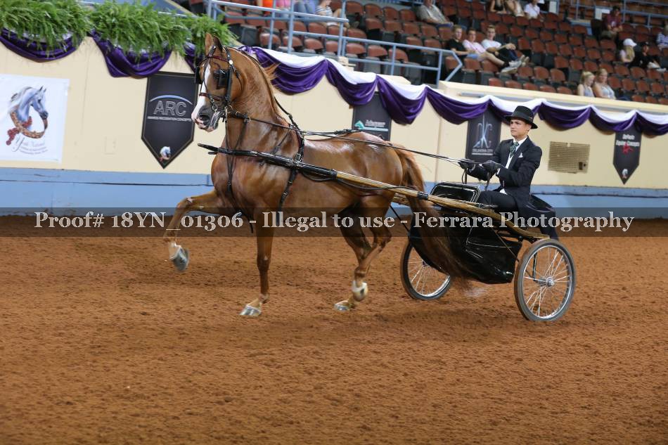 Proof 18YN_01306