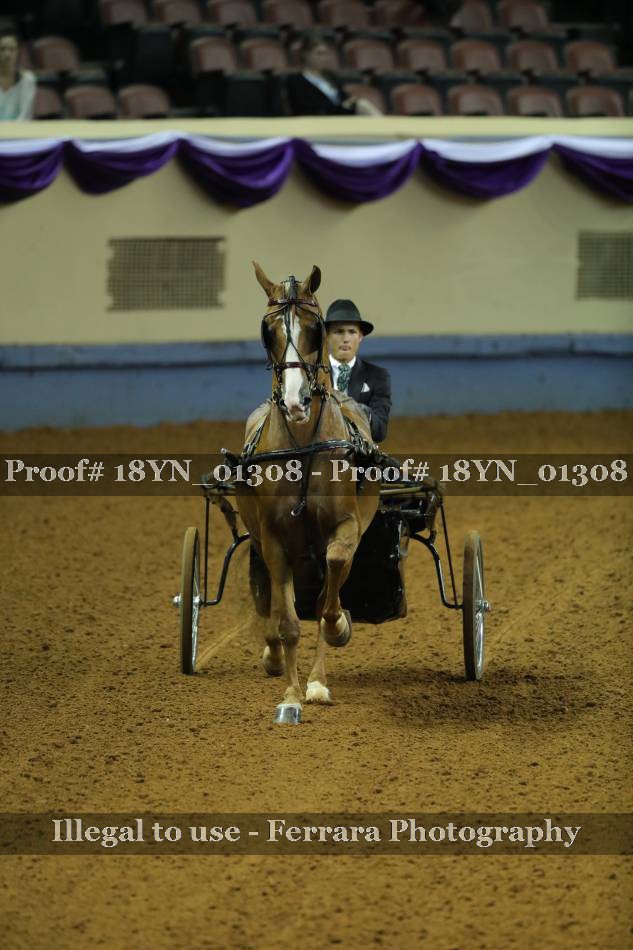 Proof 18YN_01308