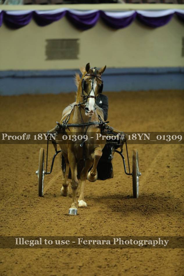 Proof 18YN_01309
