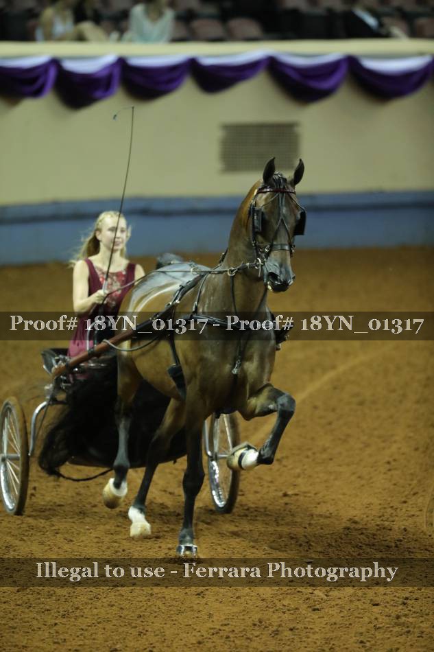 Proof 18YN_01317