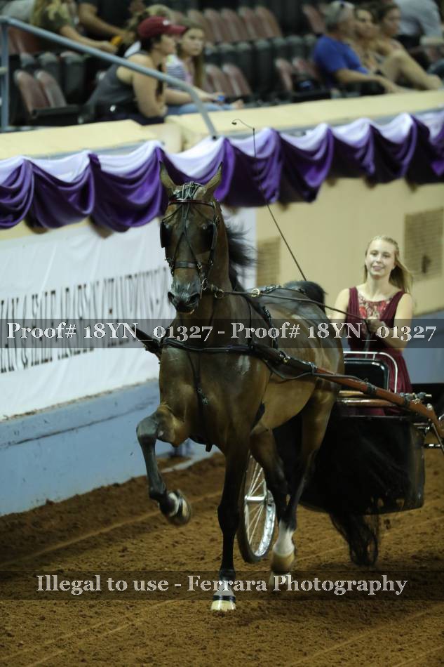 Proof 18YN_01327