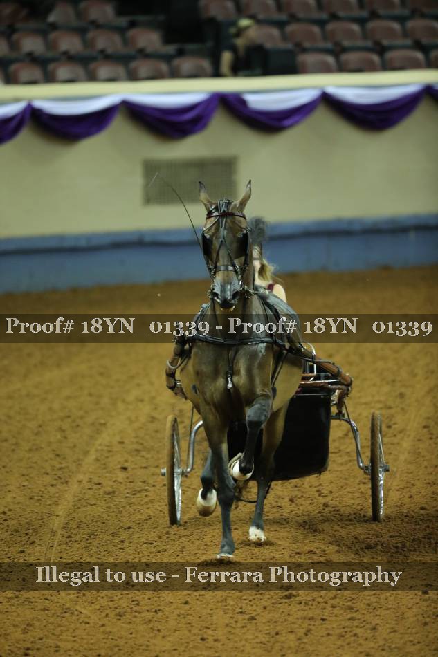 Proof 18YN_01339