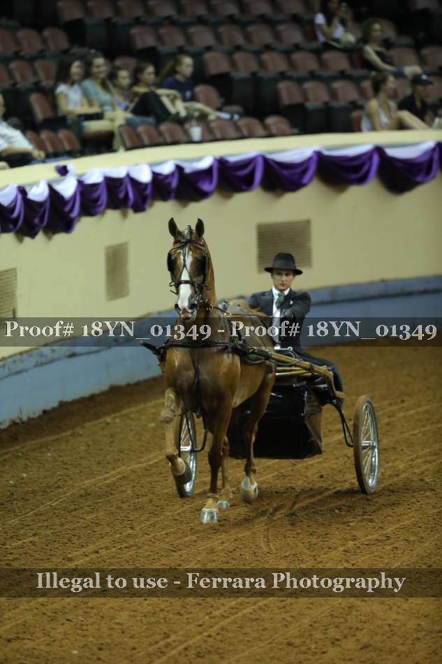 Proof 18YN_01349