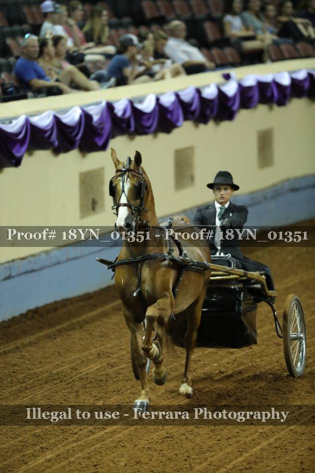 Proof 18YN_01351