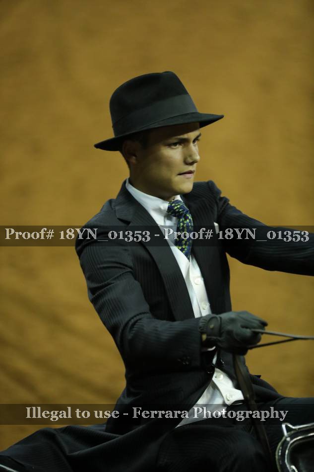 Proof 18YN_01353