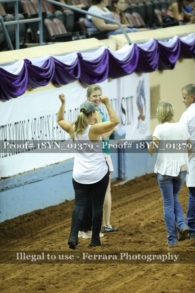 Proof 18YN_01379