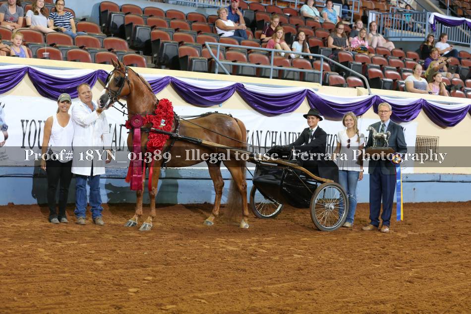 Proof 18YN_01389