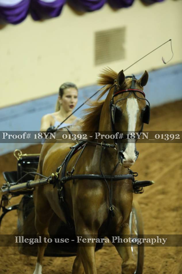 Proof 18YN_01392