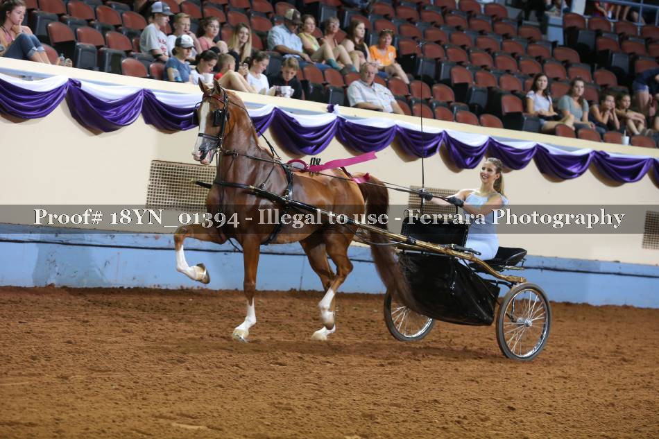Proof 18YN_01394