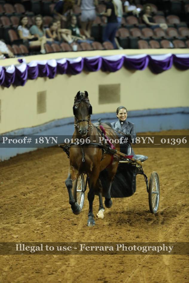 Proof 18YN_01396