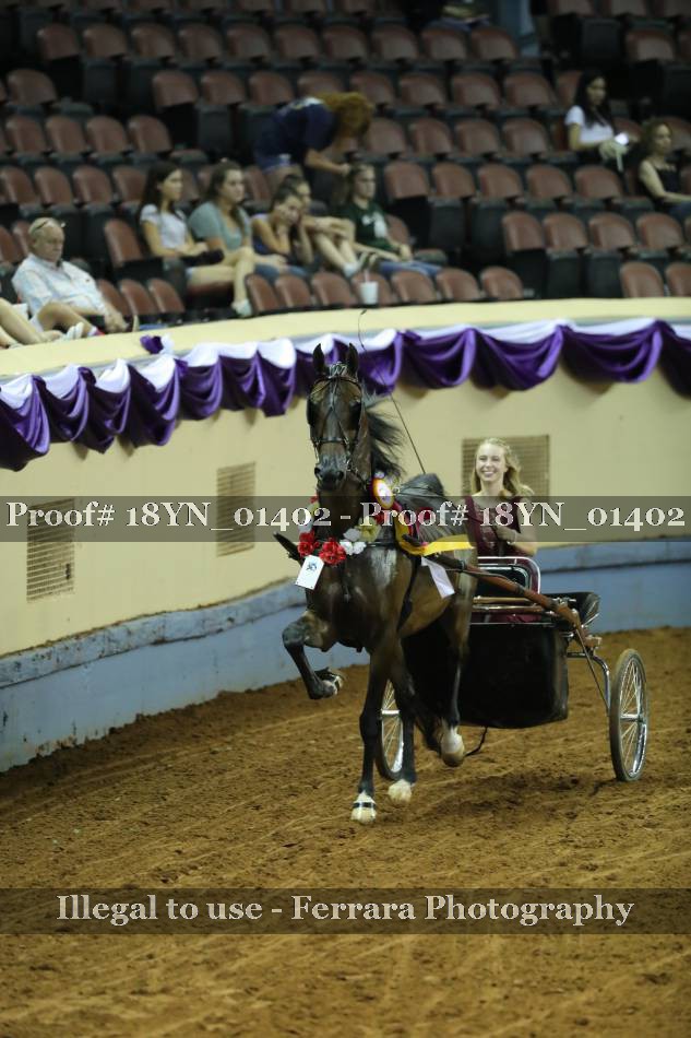 Proof 18YN_01402