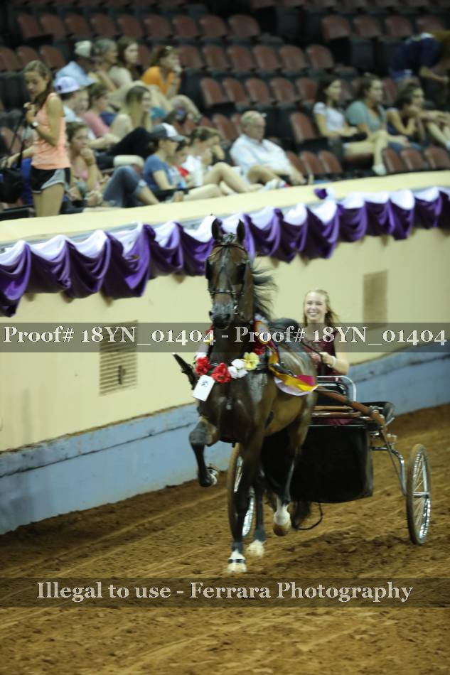 Proof 18YN_01404