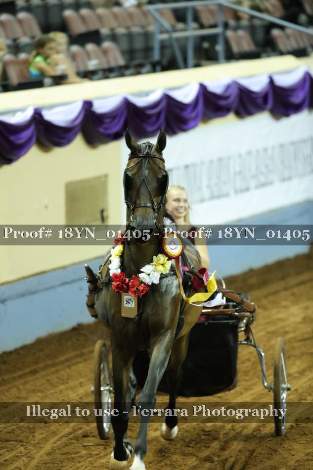Proof 18YN_01405