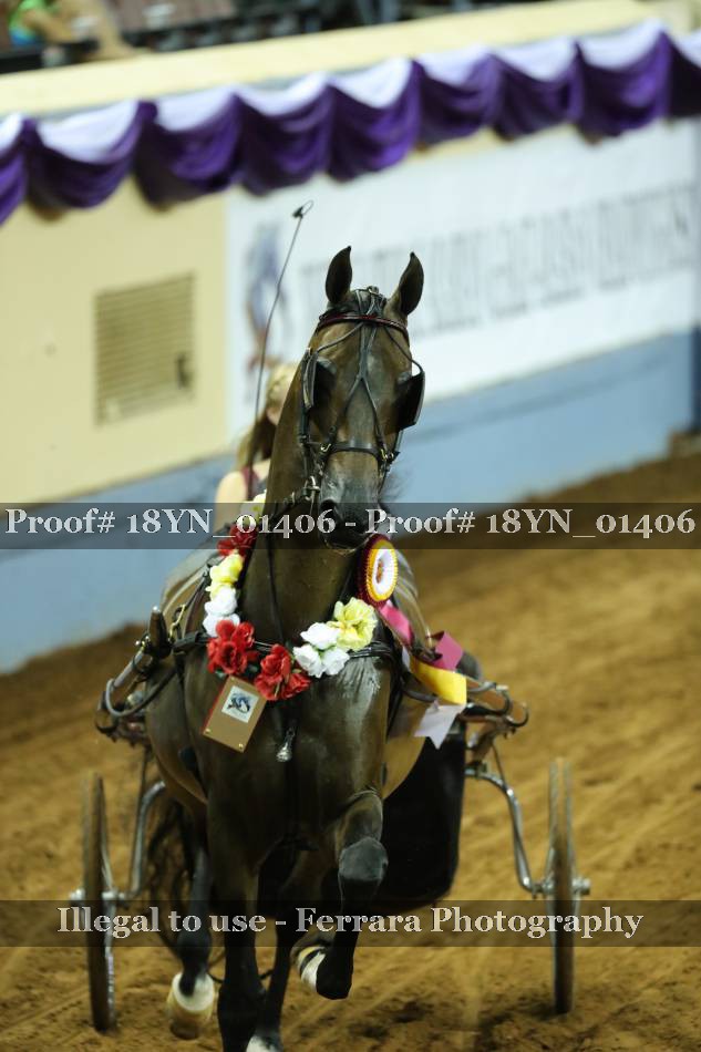 Proof 18YN_01406