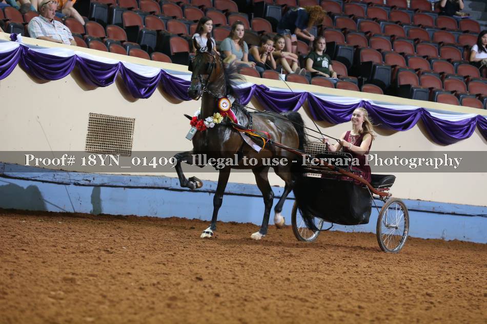 Proof 18YN_01409