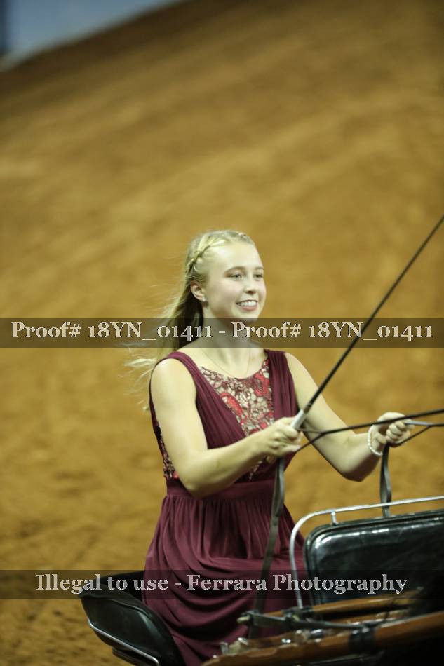 Proof 18YN_01411