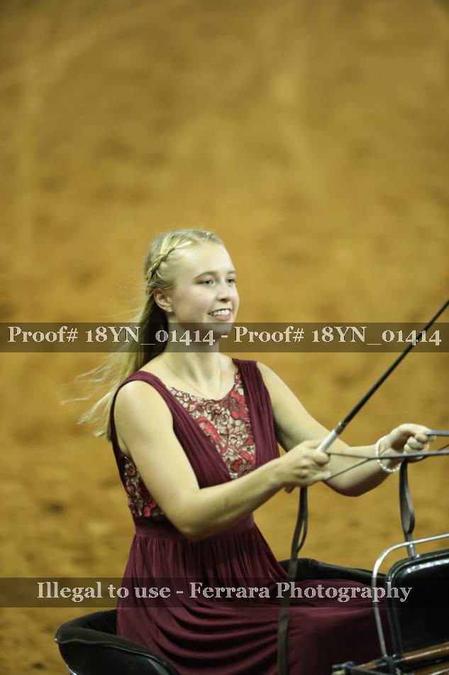 Proof 18YN_01414