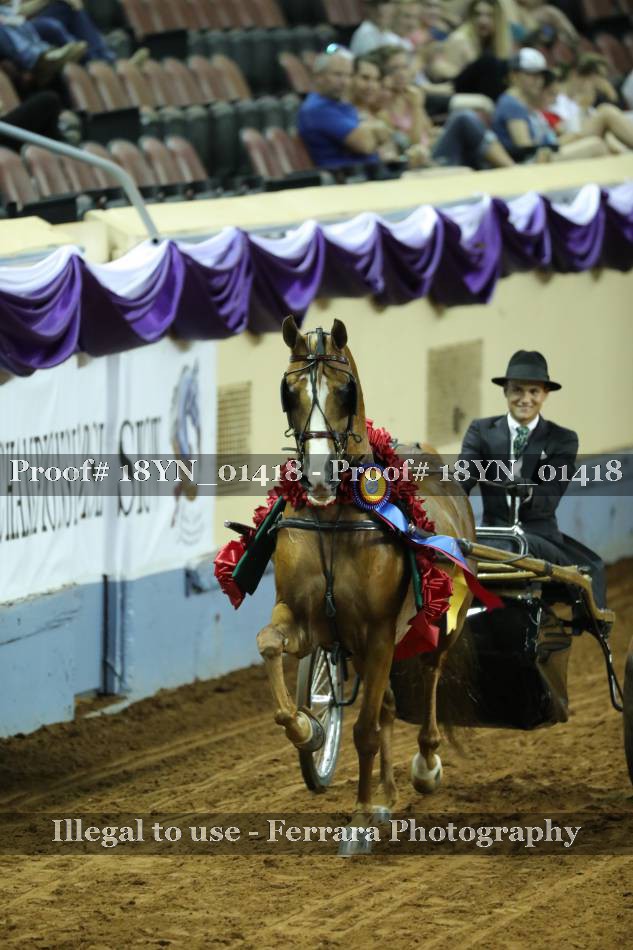 Proof 18YN_01418