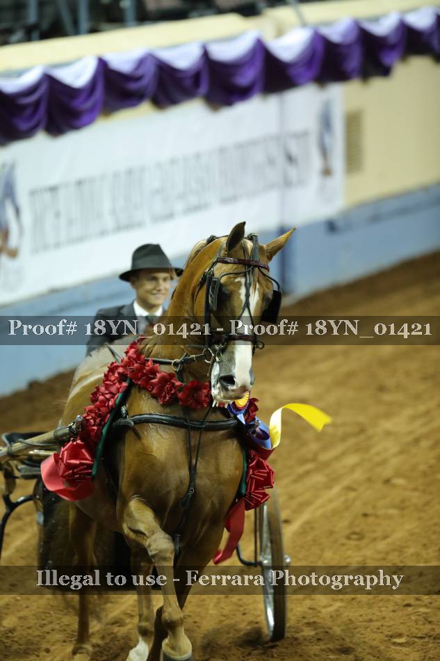 Proof 18YN_01421