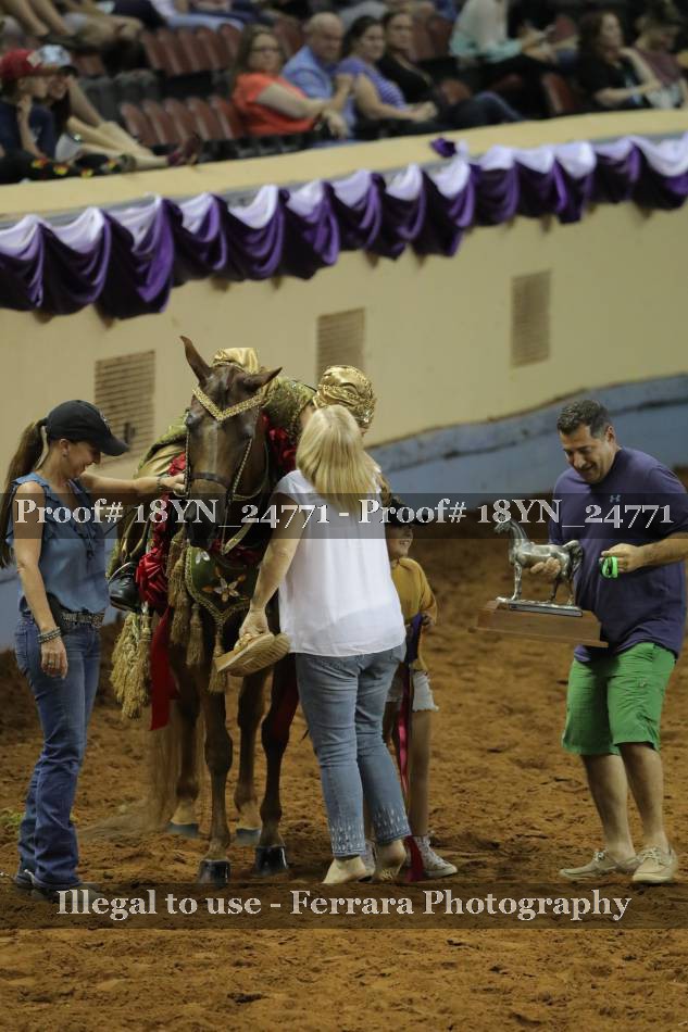 Proof 18YN_24771