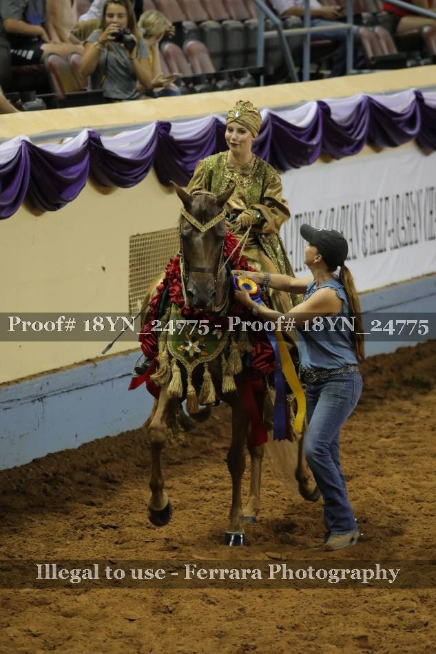 Proof 18YN_24775