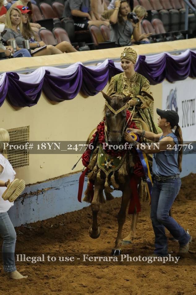 Proof 18YN_24776