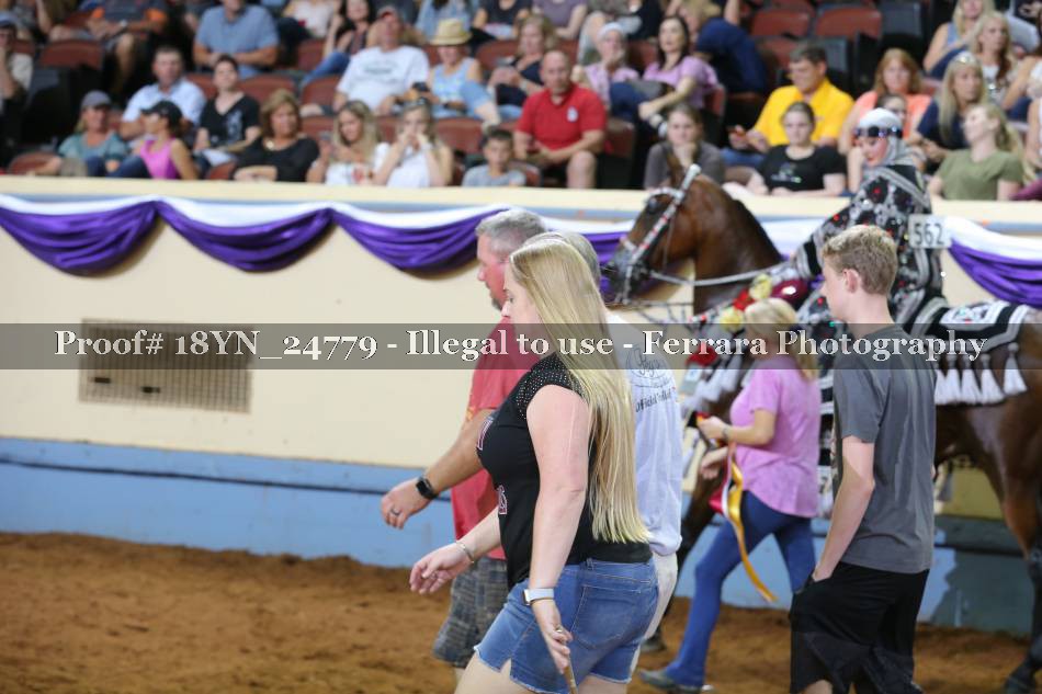 Proof 18YN_24779