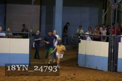 18YN_24793 proof