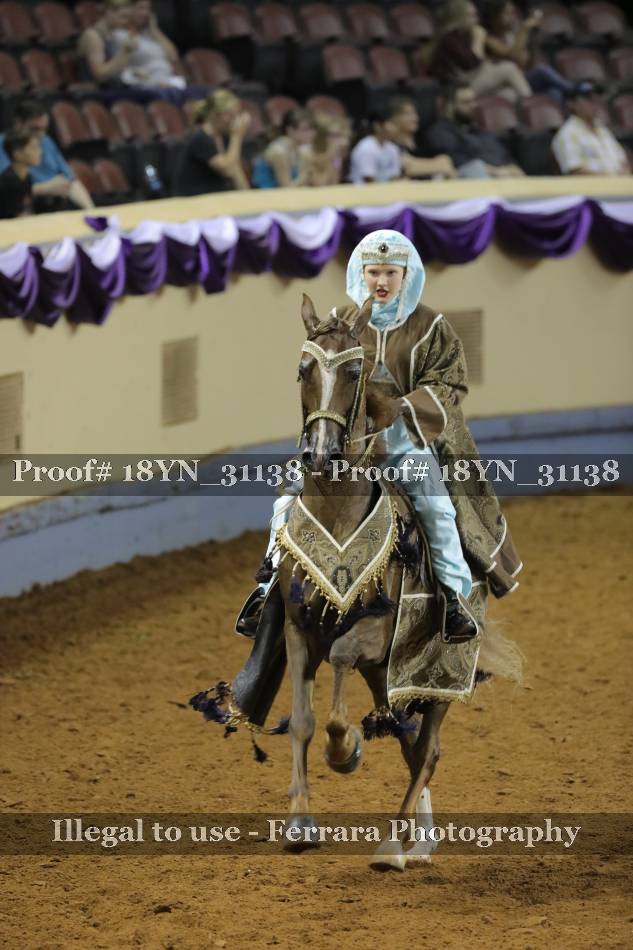 Proof 18YN_31138