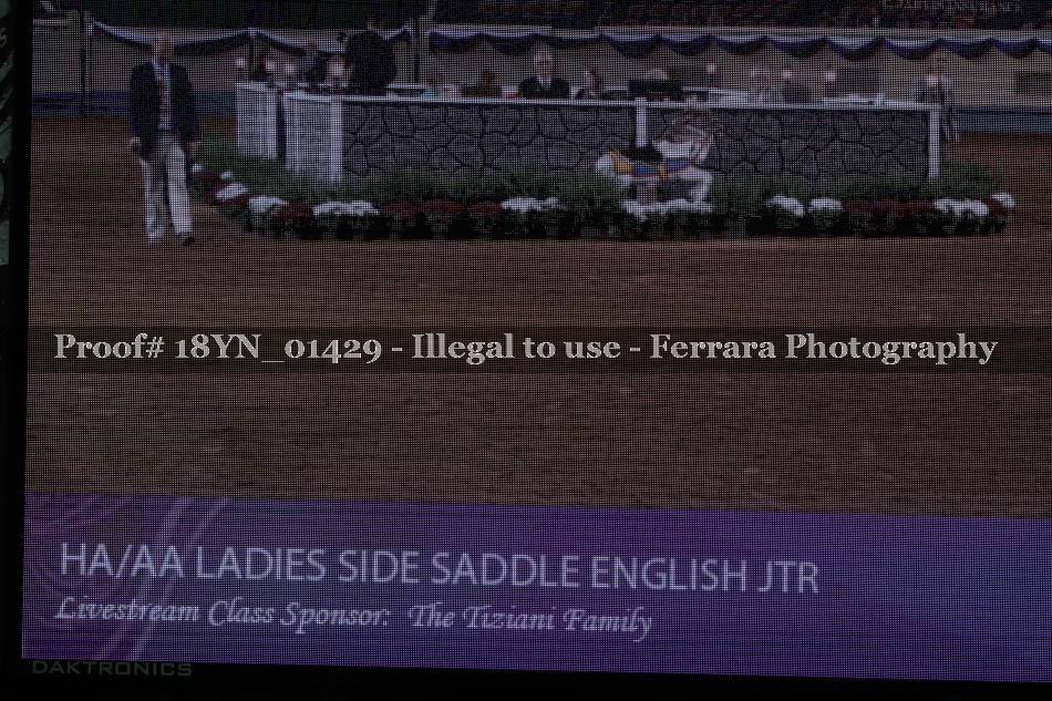 Proof 18YN_01429